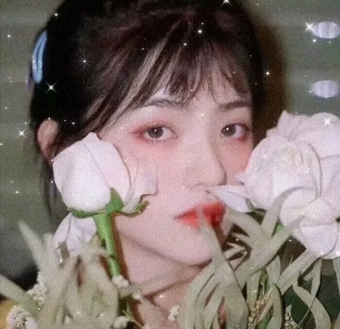 生命速写